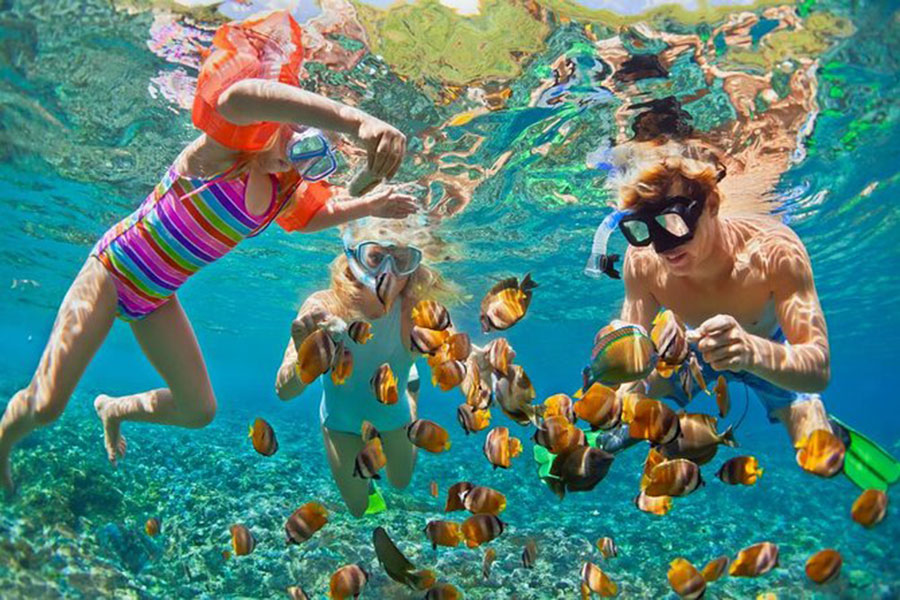 Snorkeling Nusa Penida Trip