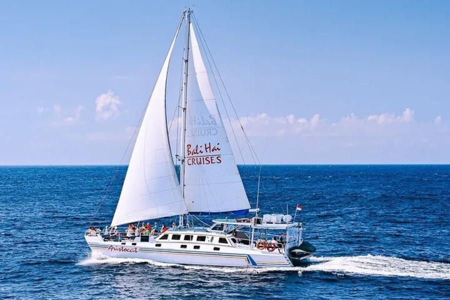 Castaway Escape Cruise