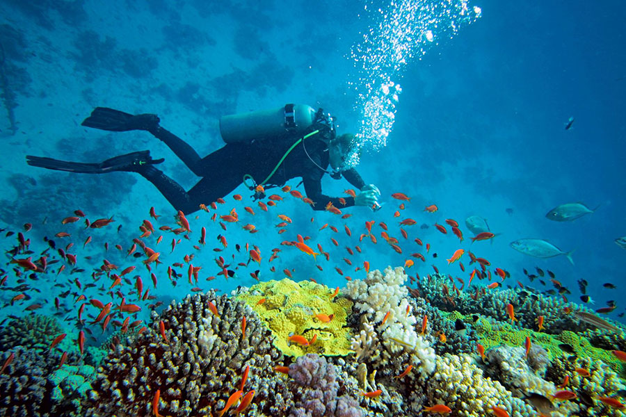 Bali 2 time diving in Nusa dua