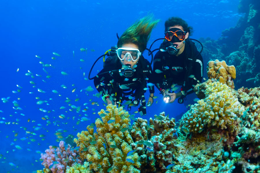 Bali Diving 1 time