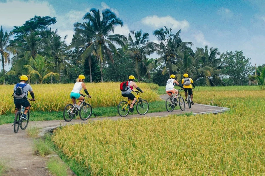 Downhill Cycling | Kintamani Tour | Bali Komodo Beyond | Bali Tours