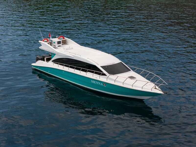 Daily Komodo Private Speedboat Charter from Labuan Bajo