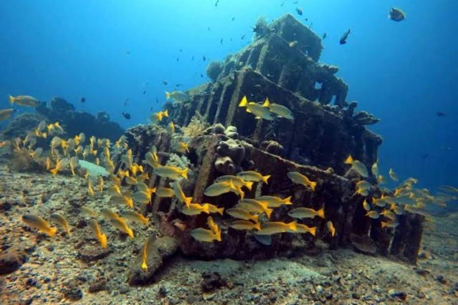 Amed Diving Tour Bali – Coral Reef & Turtle Diving