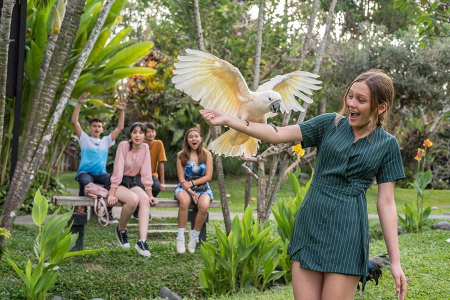 Bali Bird Park