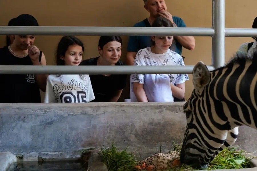 Bali Zoo Behind Closed Doors | Bali Zoo Tour | Bali Komodo Beyond | Bali Tours