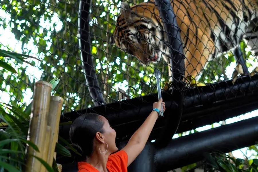 Bali Zoo Behind Closed Doors | Bali Zoo Tour | Bali Komodo Beyond | Bali Tours