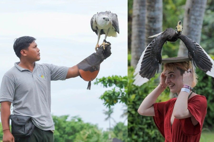 Bali Zoo Bird Presentation | Bali Zoo Tour | Bali Komodo Beyond | Bali Tours