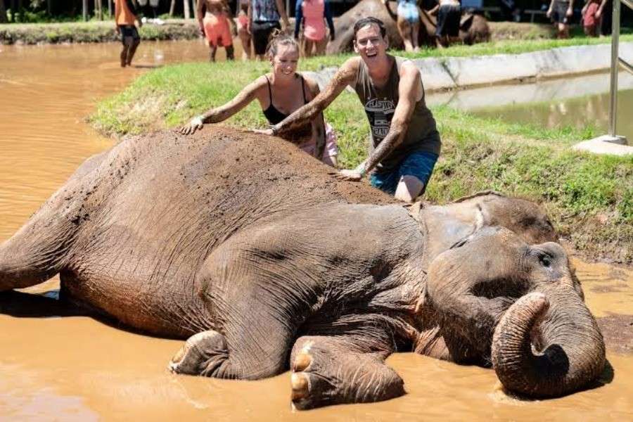 Bali Zoo Mud Fun | Bali Zoo Tour | Bali Komodo Beyond | Bali Tours