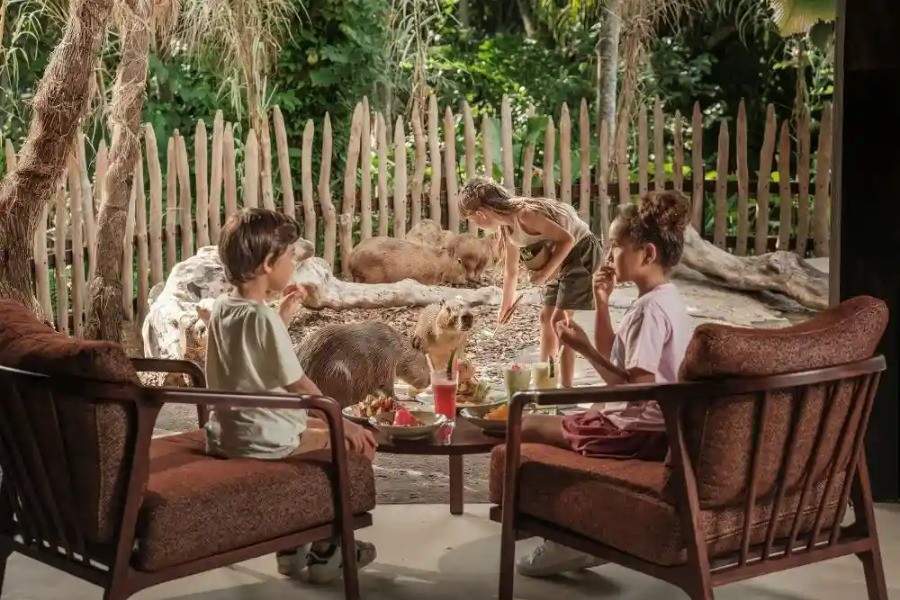 Brunch with Capybara | Bali Zoo Tour | Bali Komodo Beyond | Bali Tours