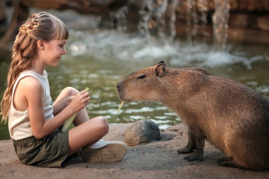 Capybara Feeding | Bali Zoo Tour | Bali Komodo Beyond | Bali Tours