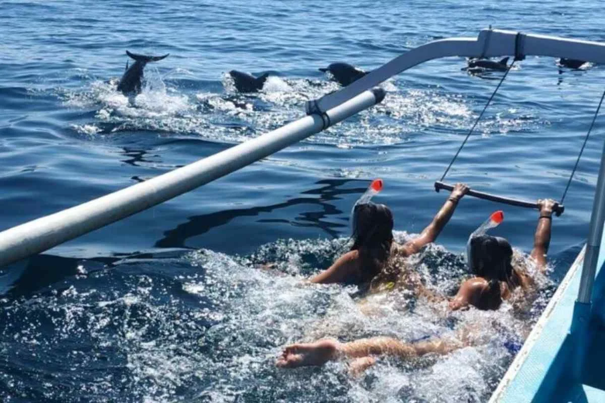 Dolphin Lovina | Lovina Dolphin Tour | Bali Komodo Beyond | Bali Tours