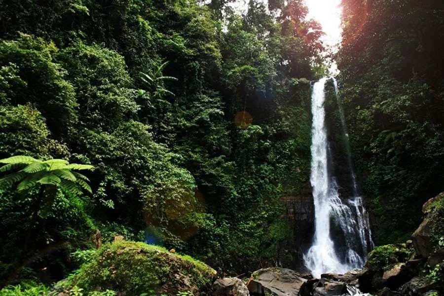 Gitgit Waterfall | North Bali Tour | Bali Komodo Beyond | Bali Tours