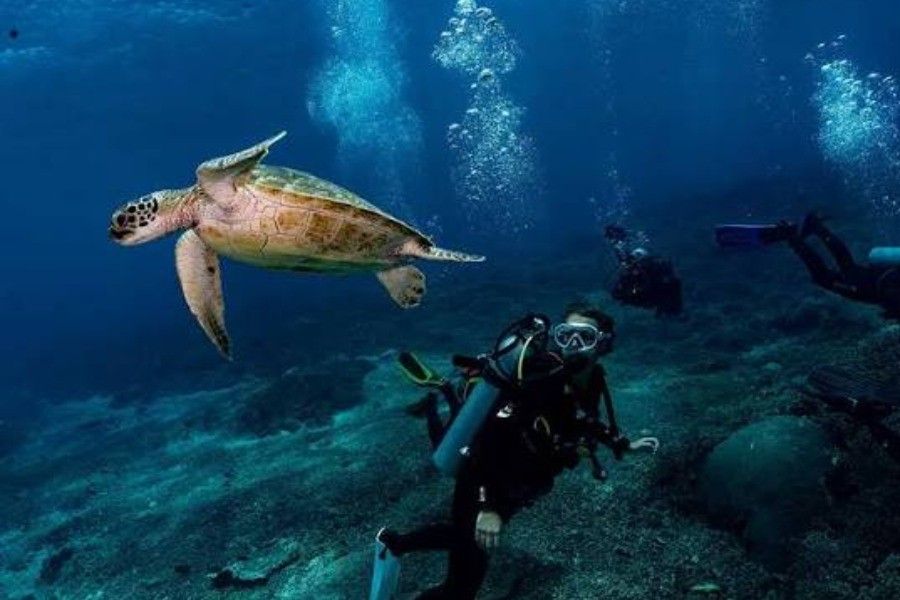 Manta Point Diving Nusa Penida | Diving Tour | Bali Komodo Beyond | Bali Tours