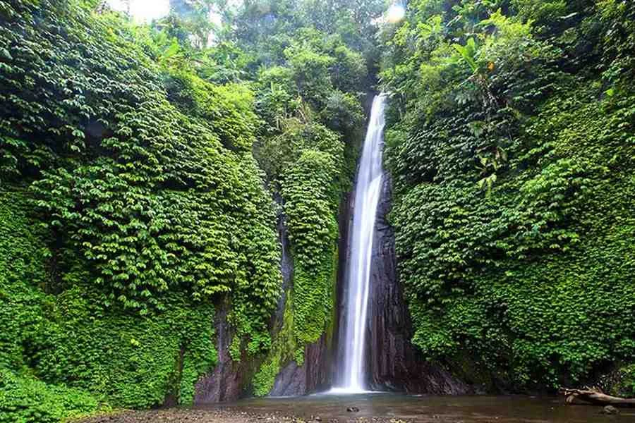 Munduk Waterfall | North Bali Tour | Bali Komodo Beyond | Bali Tours